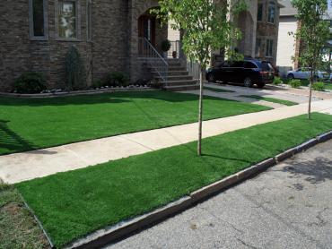 Synthetic Pet Grass Good Hope California Lawns artificial grass